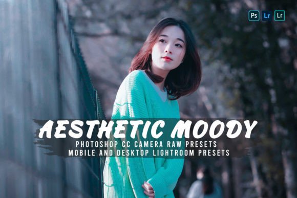 Download 10 Aesthetic Moody Presets - Moody preset Collection