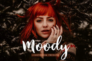 Download Moody Presets for Desktop + Mobile - Moody preset Collection