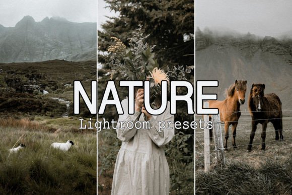 Download 9 Nature Mobile Lightroom Presets - Premium Bundle